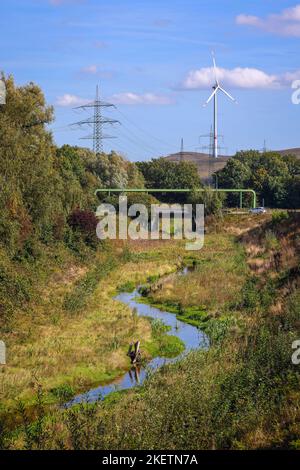 Bottrop-Gladbeck, Rhénanie-du-Nord-Westphalie, Allemagne - l'affluent de l'Emscher, Renaturalisé Boye, a été transformé en une cène quasi naturelle Banque D'Images