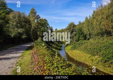 Bottrop-Gladbeck, Rhénanie-du-Nord-Westphalie, Allemagne - l'affluent de l'Emscher, Renaturalisé Boye, a été transformé en une cène quasi naturelle Banque D'Images