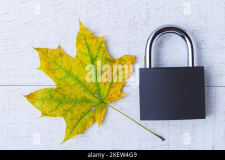 Interdictions d'automne. Fermeture de la saison d'automne. Feuillage d'automne jaune et château articulé sur fond blanc. Banque D'Images