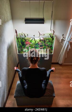 Belle femme assise sur le pouf devant le paysage aquatique de l'aquarium. Banque D'Images