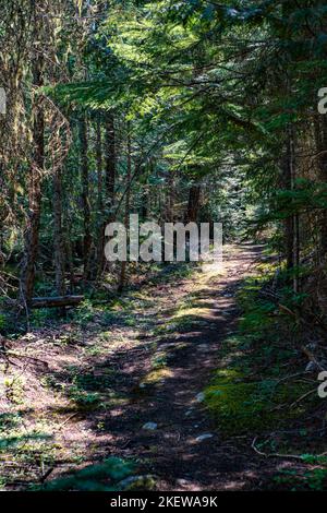 Indian Creek Trail est une randonnée facile et jolie au lac Priest Banque D'Images