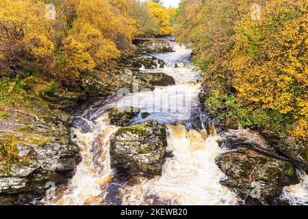 La Black Water River (qui draine Glen Shee comme Shee Water) en automne au nord de Bridge of Cally, Perth & Kinross, Écosse, Royaume-Uni Banque D'Images