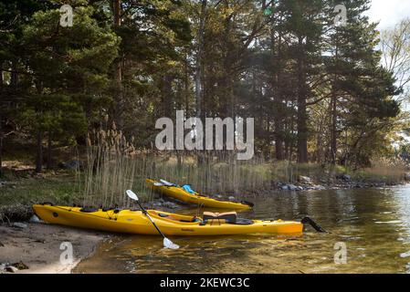 Paire de kayaks de mer jaunes sur la rive d'une île de l'archipel de Stockholm, en Suède. Kayak dans l'archipel suédois, mer Baltique Banque D'Images