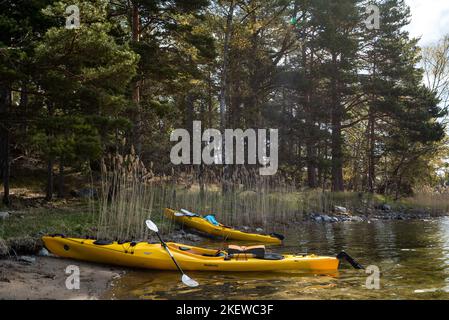 Paire de kayaks de mer jaunes sur la rive d'une île de l'archipel de Stockholm, en Suède. Kayak dans l'archipel suédois, mer Baltique Banque D'Images