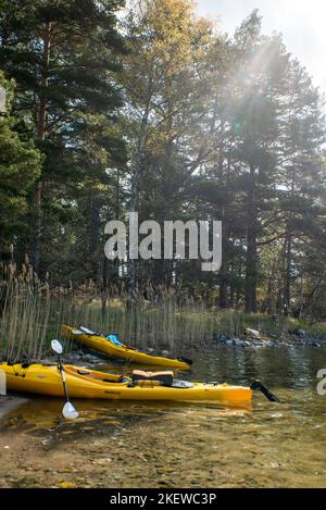 Paire de kayaks de mer jaunes sur la rive d'une île de l'archipel de Stockholm, en Suède. Kayak dans l'archipel suédois, mer Baltique Banque D'Images