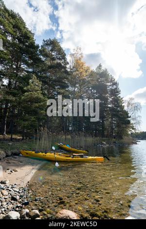 Paire de kayaks de mer jaunes sur la rive d'une île de l'archipel de Stockholm, en Suède. Kayak dans l'archipel suédois, mer Baltique Banque D'Images