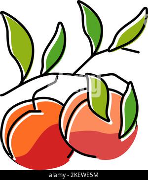illustration vectorielle d'icône de couleur de nectarine de branche de plante Illustration de Vecteur