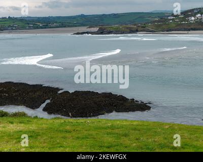 Vue sur la baie de Clonakilty par jour nuageux. Herbe épaisse près de la mer. Le littoral. Paysage de bord de mer. Temps nuageux. Banque D'Images