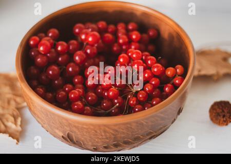 Viburnum mûr dans un bol en argile. Beries d'automne. Récolte d'automne. Antioxydant naturel. Remède naturel contre la grippe. Gros plan sur les baies de viburnum crues. La récolte d'automne. Banque D'Images