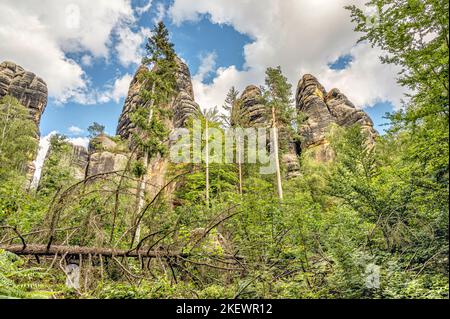 Schrammstéine au parc national de la Suisse saxonne vu d'en-dessous, Saxe, Allemagne avec des arbres morts en premier plan Banque D'Images