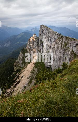 La belle vue portrait de Schafberg, 1783 m, pendant une journée nuageux, montagne dans l'état autrichien de Salzbourg. Sommet de Spinnerin. Autriche, Europe. Banque D'Images