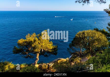 Monaco, France - 2 août 2022 : vue panoramique sur la mer Méditerranée au large de la zone métropolitaine de Monaco, vue depuis le quartier de la vieille ville royale de Monaco Banque D'Images