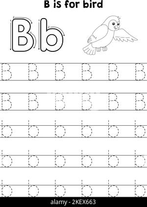 Oiseau animal Tracing lettre ABC coloriage page B Illustration de Vecteur