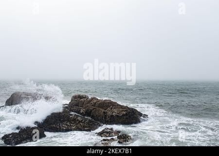 Prévisions de brouillard gris pluvieux sur un paysage de mer rocailleux Banque D'Images