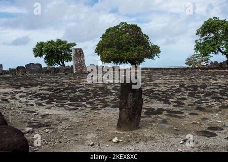 Taputapuatea Marae, Raitea, Polynésie française Banque D'Images