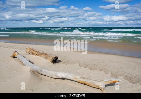 La rive du lac Michigan au parc national d'Indiana Dunes a souvent du bois flotté sur la rive, le parc national d'Indiana Dunes, comté de porter, DANS Banque D'Images
