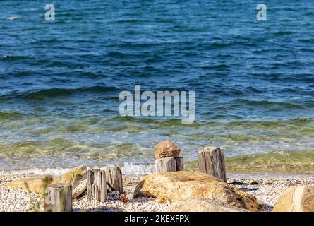 La vie à la plage conserve d'un rocher placé au-dessus d'une vieille pile Banque D'Images