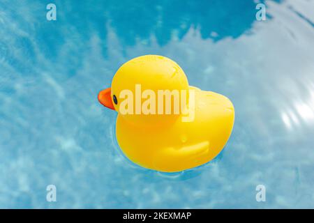 Canard en caoutchouc jaune dans la piscine extérieure Banque D'Images