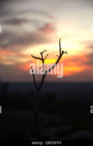 Coucher de soleil sur un paysage australien brûlé Banque D'Images