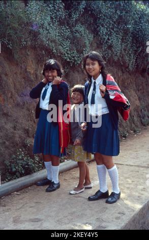 Filles allant à l'école, Darjeeling, Bengale occidental, Inde Banque D'Images