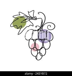 Dessin de raisin biologique d'une ligne, logo de vignoble Illustration de Vecteur