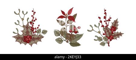 Ensemble de compositions de botanique de Noël avec feuilles et baies de houx, poinsettia et GUI. Illustration vectorielle de style d'esquisse isolée sur blanc Illustration de Vecteur