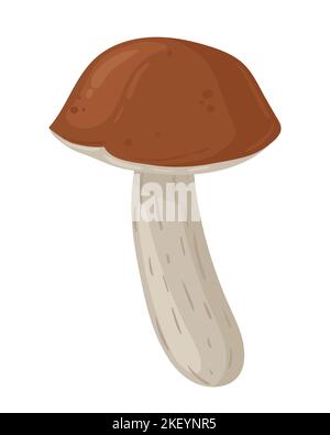 Champignon de bouleau de bande dessinée. Nourriture biologique de saison, plantes forestières d'automne. Illustration à vecteur plat champignon. Illustration de Vecteur