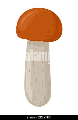 Champignon de peuplier faux-tremble. Nourriture biologique de saison, plantes forestières d'automne. Illustration à vecteur plat champignon. Illustration de Vecteur