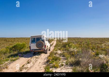 Little Desert National Park Victoria Australie paysage outback Track Banque D'Images