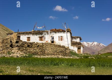 Zanskar, Inde - juillet 2012 : une ancienne maison rustique traditionnelle en pierre blanche située dans les champs verdoyants du village de Kargiak, dans les montagnes du Zan Banque D'Images