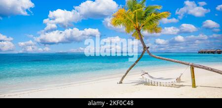 Paradise Beach, détendez-vous paysage avec balançoire de plage ou hamac sur cococotiers blanc sable mer calme ciel ensoleillé pour modèle de plage exotique. Panorama incroyable Banque D'Images