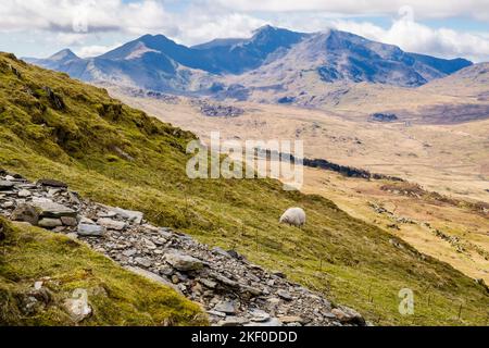 Vue depuis le sentier de Moel Siabod à travers la vallée de Dyffryn Mymbyr jusqu'à Snowdon Horseshoe dans les montagnes du parc national de Snowdonia. Capel Curig Conwy pays de Galles Royaume-Uni Banque D'Images