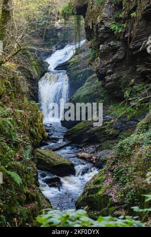 Cascade de Rhaeadr Cynfal sur la rivière Afon Cynfal dans une gorge du parc national de Snowdonia près de Llan Ffestinog, Blaenau Ffestinog, Gwynedd, au nord du pays de Galles, Royaume-Uni Banque D'Images