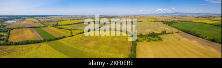 Vue aérienne des champs agricoles. Photo aérienne d'un drone volant d'un terrain avec des champs verts semé dans la campagne le jour du printemps. Agriculture Banque D'Images