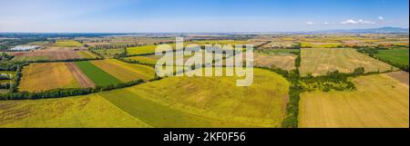 Vue aérienne des champs agricoles. Photo aérienne d'un drone volant d'un terrain avec des champs verts semé dans la campagne le jour du printemps. Agriculture Banque D'Images