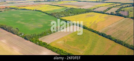 Vue aérienne des champs agricoles. Photo aérienne d'un drone volant d'un terrain avec des champs verts semé dans la campagne le jour du printemps. Agriculture Banque D'Images