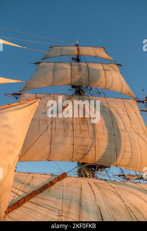 Den Helder, pays-Bas. Novembre 2022. Voiliers historiques dans le port de Den Helder. Photo de haute qualité Banque D'Images