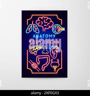 Prospectus Anatomie Neon Illustration de Vecteur