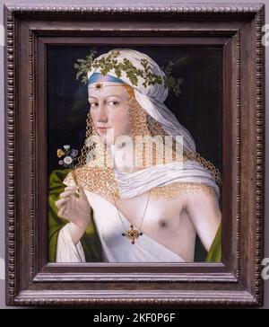BARTOLOMEO VENETO, idéalisé Portrait d'une jeune femme comme Flora, ca. 1520, Städel Museum, Francfort, Allemagne Banque D'Images