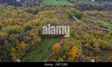 Vue aérienne de drone pittoresque de la forêt de tress de couleur automnale à Vezzolacca Italie Banque D'Images