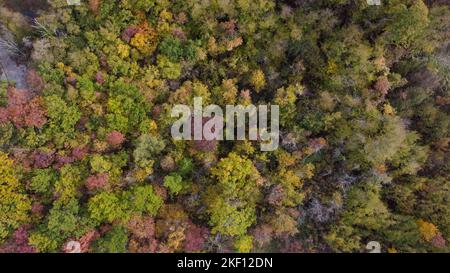 Vue aérienne de drone pittoresque de la forêt de tress de couleur automnale à Vezzolacca Italie Banque D'Images