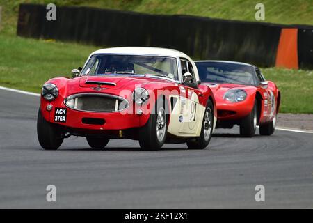 Mark Holme, Austin Healey 3000, Gentlemen Drivers voitures GT avant 66, une course de quatre-vingt-dix minutes avec deux pilotes de voitures GT, dont beaucoup auraient participé Banque D'Images