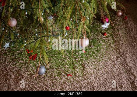 Arbre de Noël avec des pointes séchées tombant sur le tapis. Sapin mort, sol recouvert d'épines après la saison des fêtes. Banque D'Images