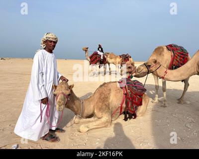 Groupe de Camel marchant dans la mer intérieure. mer ligne plage Qatar Banque D'Images