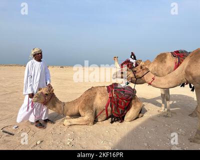 Groupe de Camel marchant dans la mer intérieure. mer ligne plage Qatar Banque D'Images