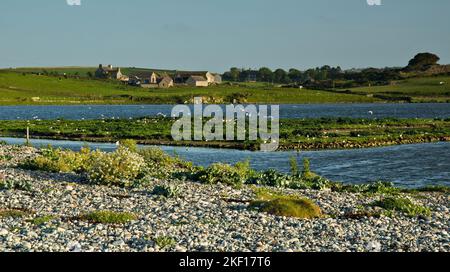 Lagoon à la réserve de Cemlyn Bay North Wales Wildlife Trust, site d'intérêt scientifique spécial sur la côte nord de l'île d'Anglesey, au nord du pays de Galles, Royaume-Uni, Summe Banque D'Images