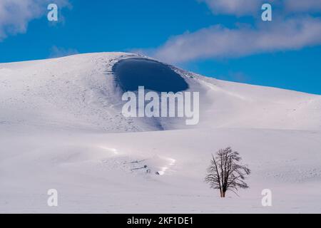 Hayden Valley en hiver, parc national de Yellowstone, Wyoming, États-Unis Banque D'Images