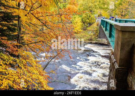 Couleurs d'automne au bord du pont au-dessus de la rivière Dee à l'entrée du château de Balmoral, Ballater, Aberdeenshire, Écosse Royaume-Uni Banque D'Images