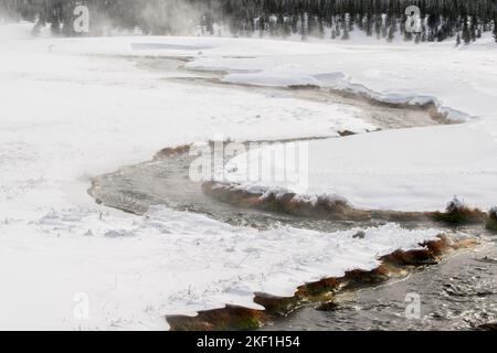 Terrace Spring, parc national de Yellowstone, Wyoming, États-Unis Banque D'Images