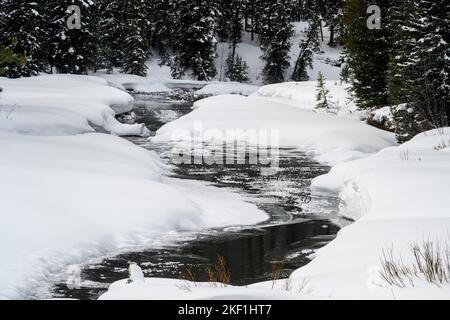 Soda Butte Creek, parc national de Yellowstone, Wyoming, États-Unis Banque D'Images